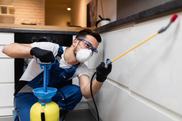 Best Termite Control Services  in Jacksonville Beach, FL