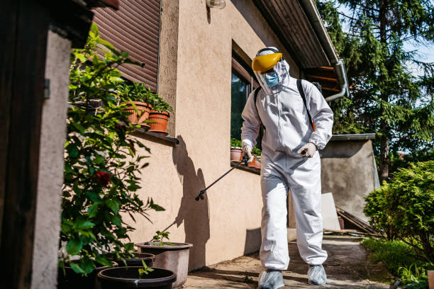 Best Residential Pest Control  in Jacksonville Beach, FL