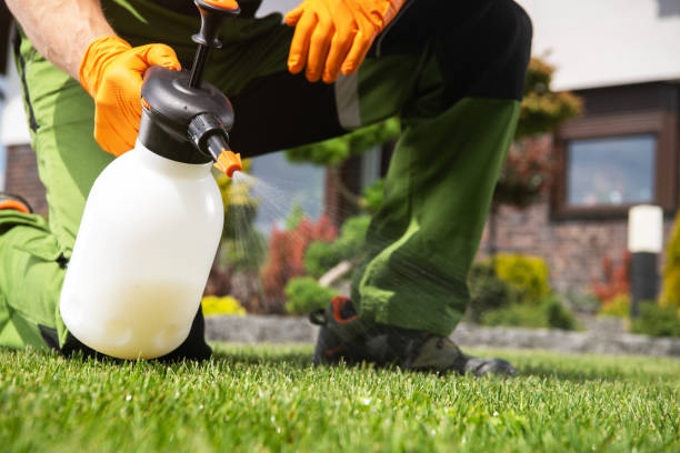 Best Emergency Pest Control  in Jacksonville Beach, FL