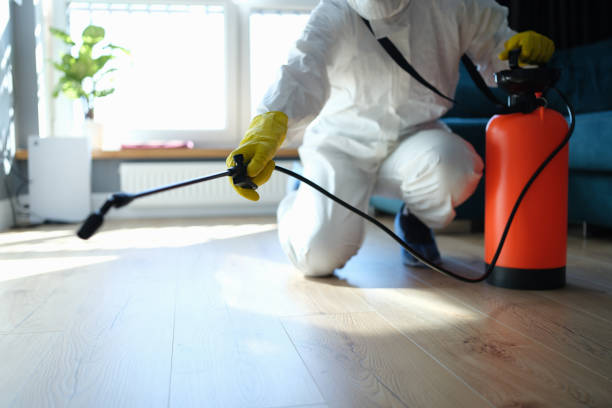 Reliable Jacksonville Beach, FL Pest Control Solutions