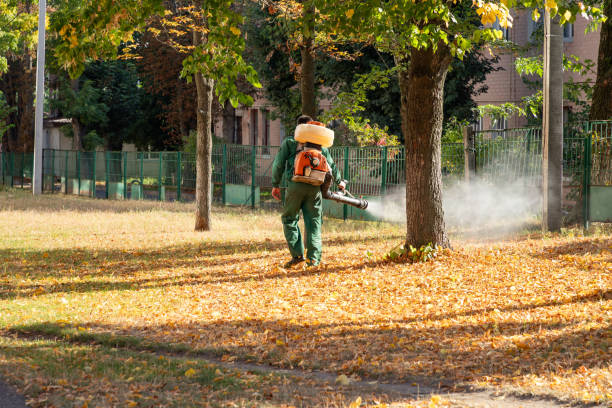 Best Best Pest Control Companies  in Jacksonville Beach, FL