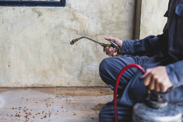 Best Pest Control Near Me  in Jacksonville Beach, FL