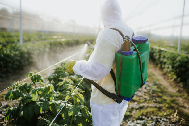 Jacksonville Beach, FL Pest Control Company